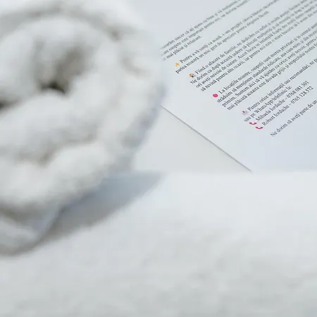 Erwins Apartament Craiova