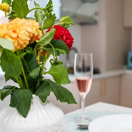 Erwins Apartman Craiova