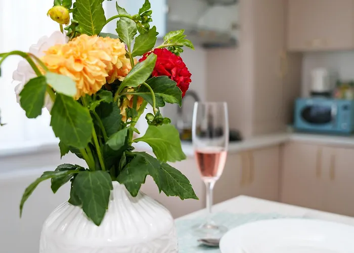 Erwins Apartamento Craiova